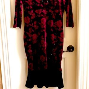 Burgundy, velvet, rose printed dress.